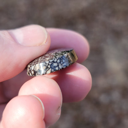 Wyoming Dinosaur Bone Cabochon