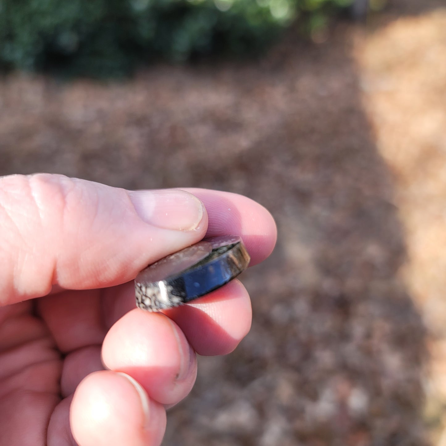 Wyoming Dinosaur Bone Cabochon