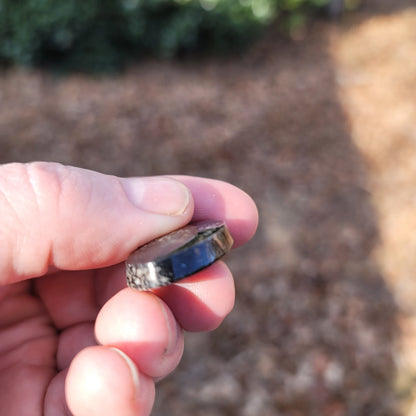 Wyoming Dinosaur Bone Cabochon