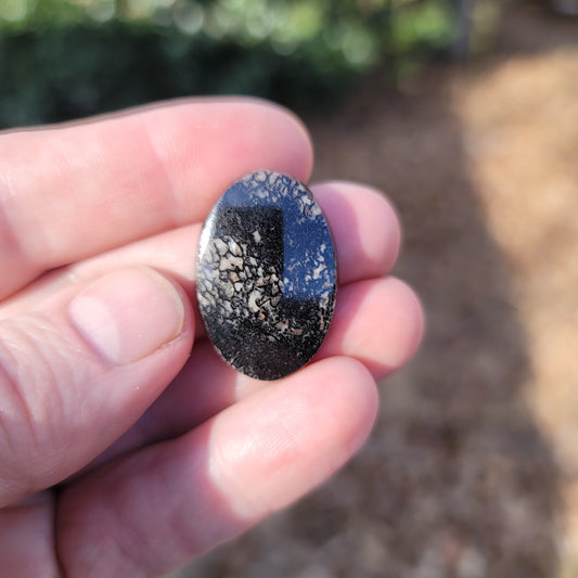 Wyoming Dinosaur Bone Cabochon