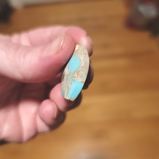 Arkansas Mona Lisa Turquoise Cabochon