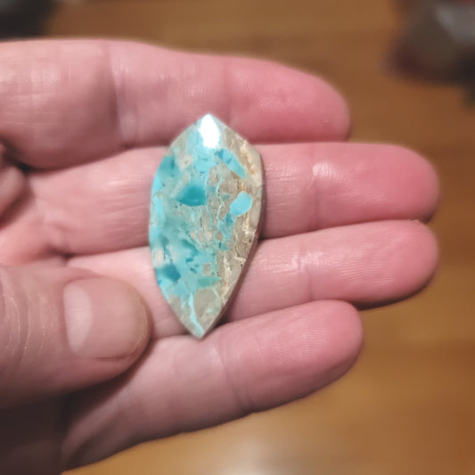 Arkansas Mona Lisa Turquoise Cabochon
