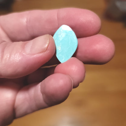 Arkansas Mona Lisa Turquoise Cabochon