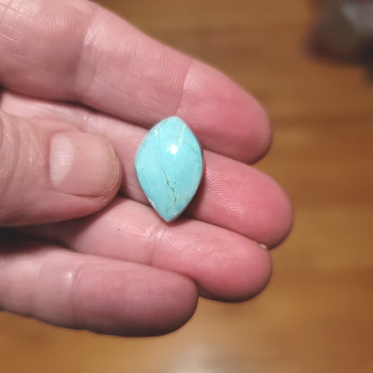 Arkansas Mona Lisa Turquoise Cabochon
