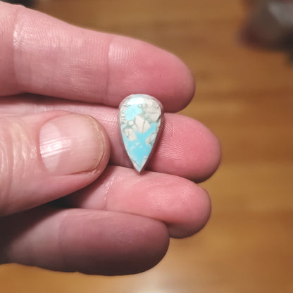 Arkansas Mona Lisa Turquoise Cabochon