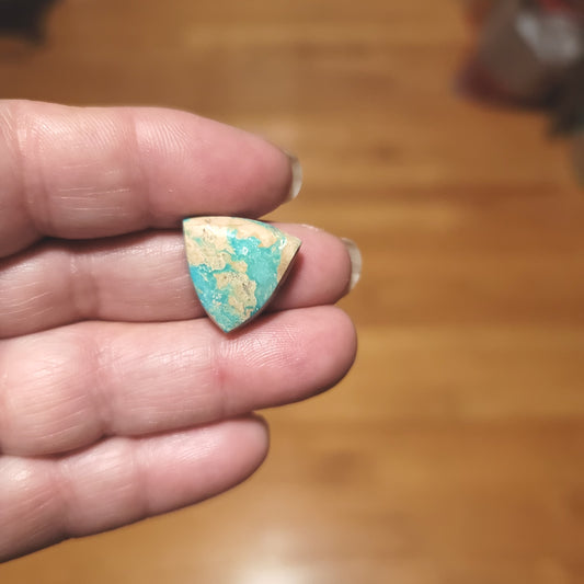 Arkansas Mona Lisa Turquoise Cabochon