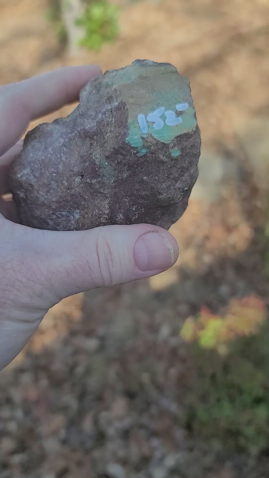 Huge Redskin Turquoise Nugget - front view