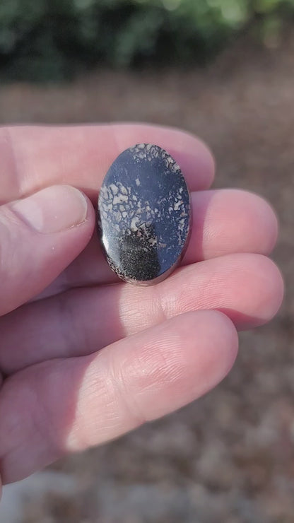 Wyoming Dinosaur Bone Cabochon