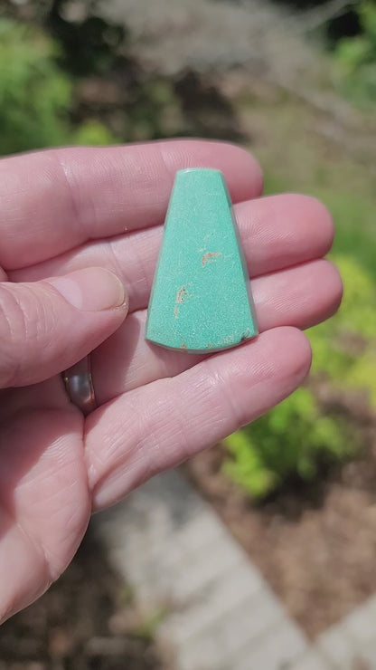 Sonoran Turquoise Cabochon