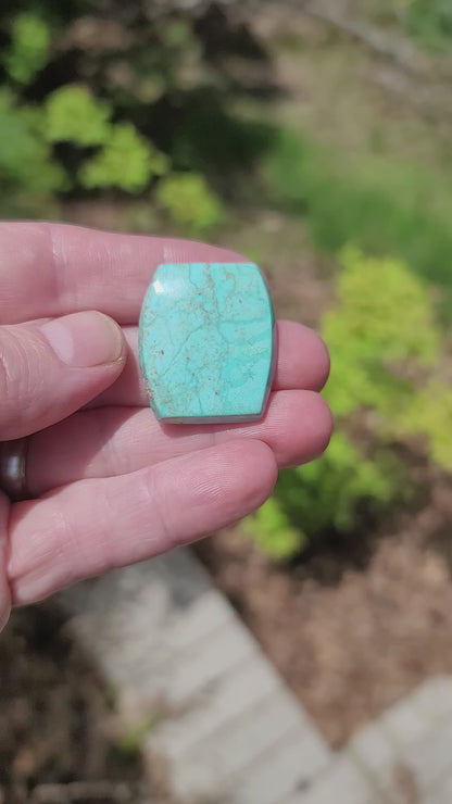 Sonoran Turquoise Cabochon