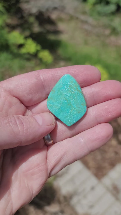 Sonoran Turquoise Cabochon