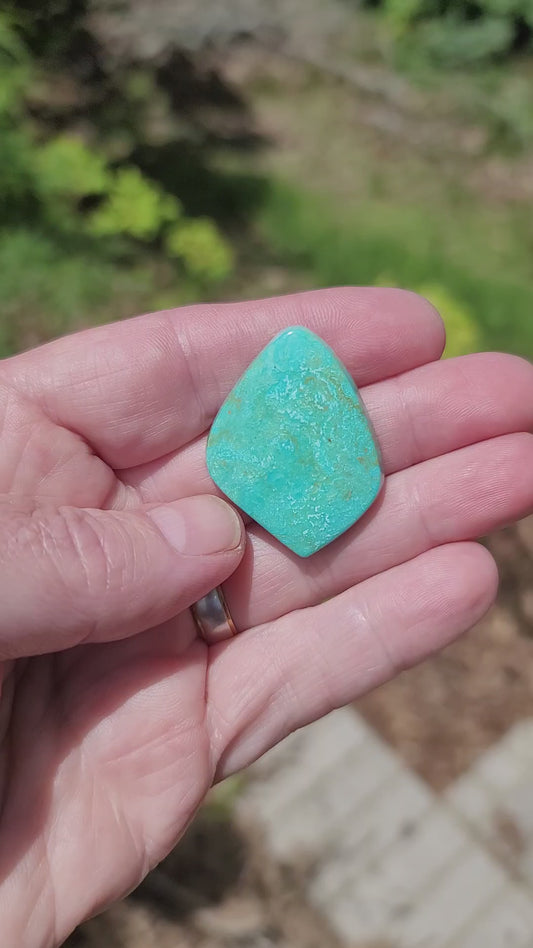 Sonoran Turquoise Cabochon