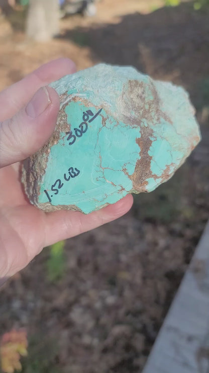 1.52 lb Large Sonona Turquoise Nugget