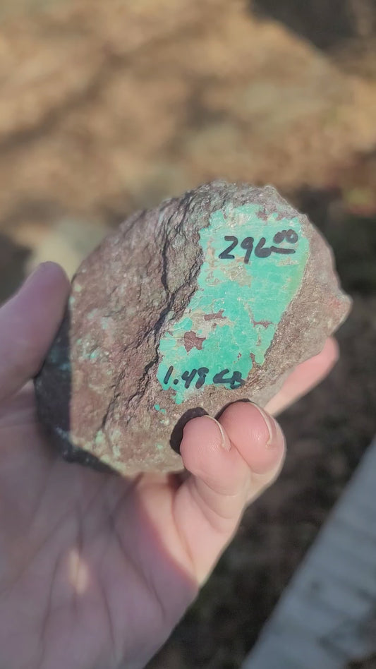 Huge Redskin Turquoise Nugget 1.48lbs - front view