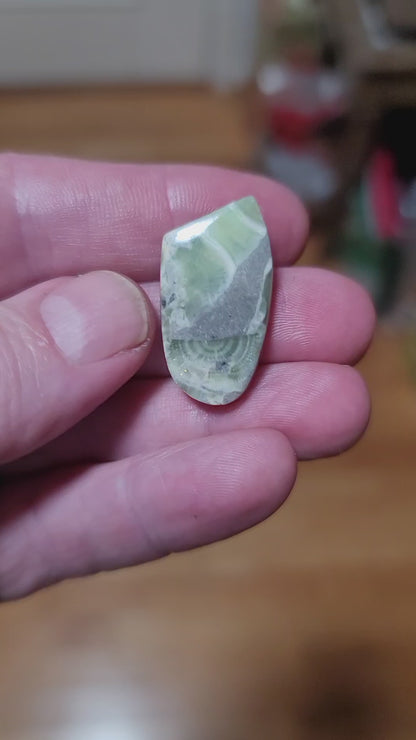 Arkansas Wavellite Cabochon