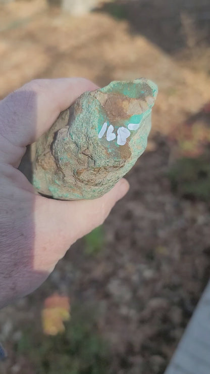 1.2 lbs Large Sonona Turquoise Nugget