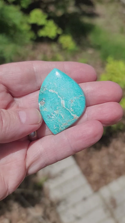 Sonoran Turquoise Cabochon