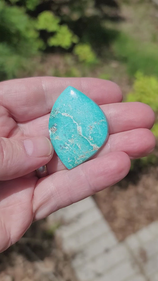 Sonoran Turquoise Cabochon