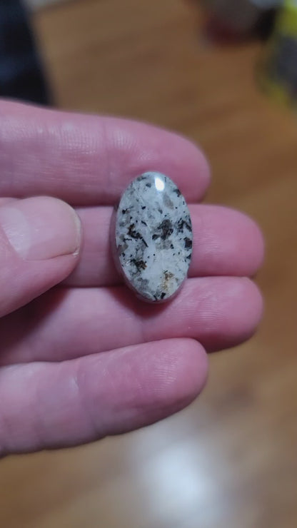 Arkalite (Sodalite Syenite) Cabochon