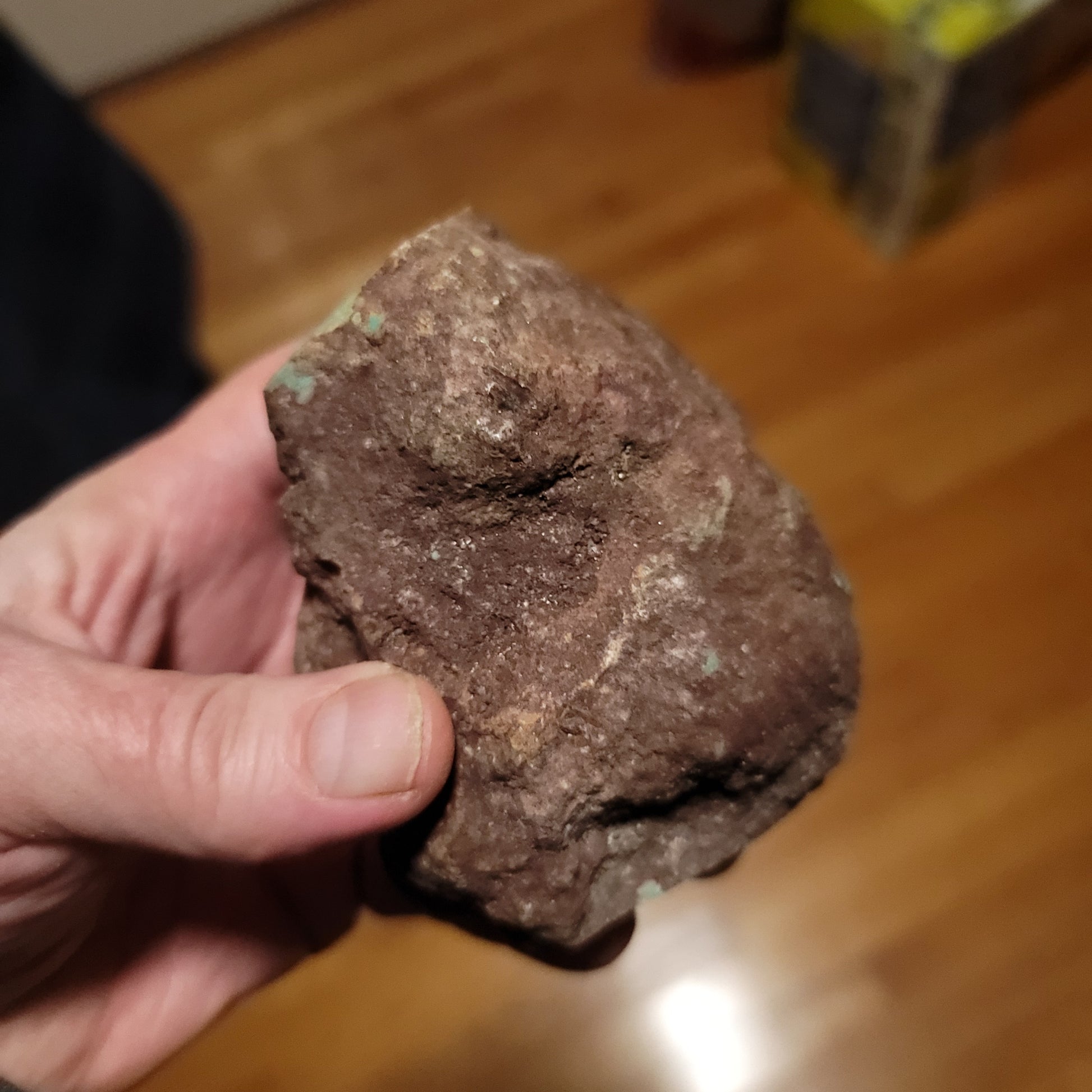 Huge Redskin Turquoise Nugget - back view