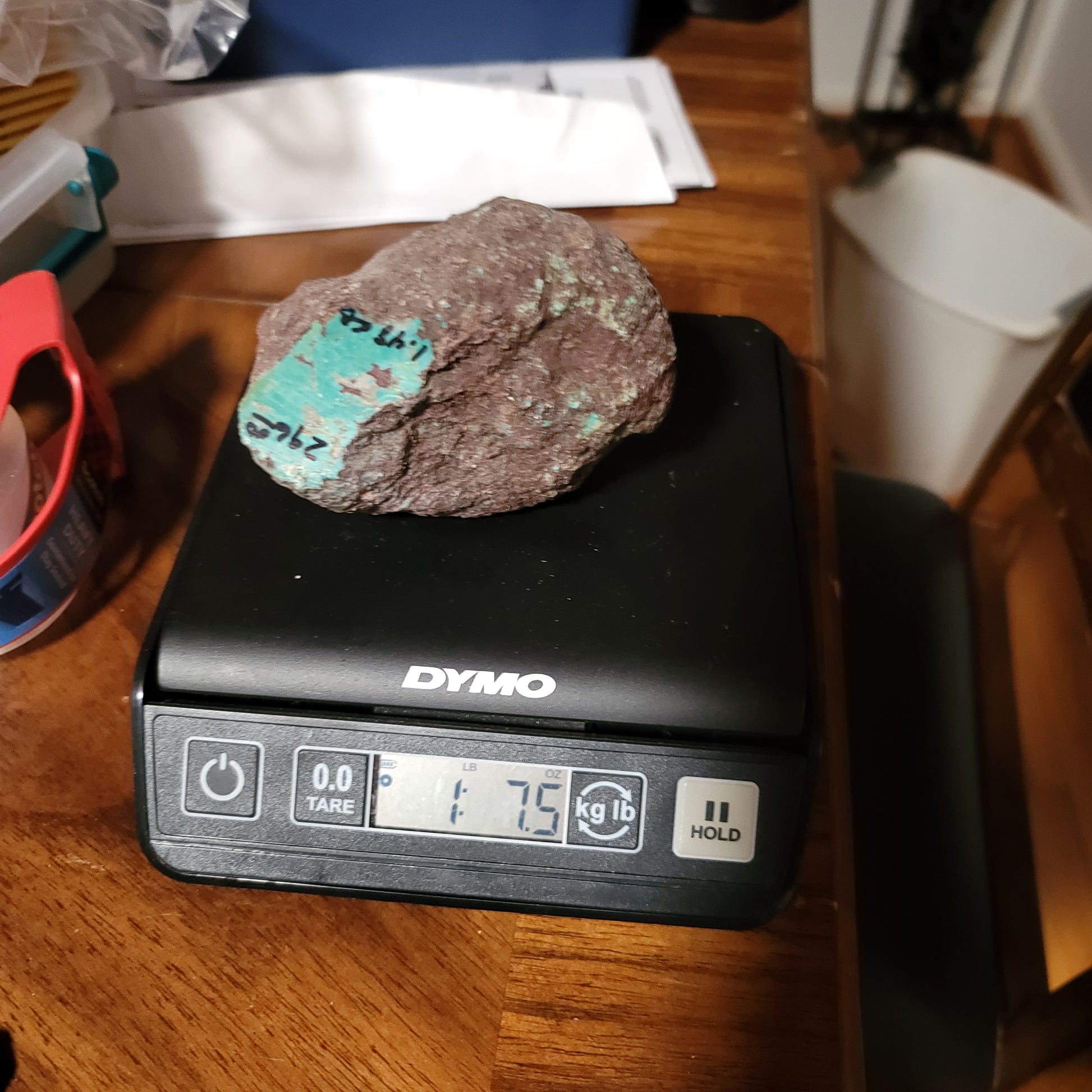 Huge Redskin Turquoise Nugget 1.48lbs - detail view