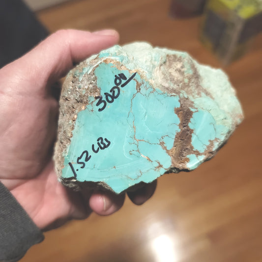 1.52 lb Large Sonona Turquoise Nugget