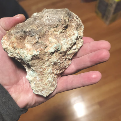 .44 lbs Large Sonona Turquoise Nugget