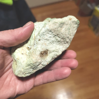 .83 lbs Large Sonona Turquoise Nugget