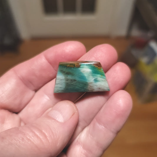 Turkish Colla Wood Cabochon - front view