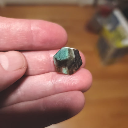 Turkish Colla Wood Cabochon - back view