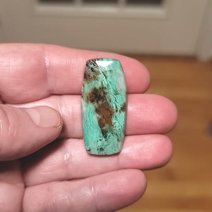 Turkish Colla Wood Cabochon - front view