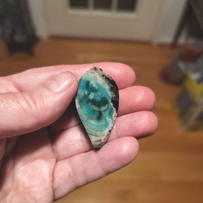 Turkish Colla Wood Cabochon - back view