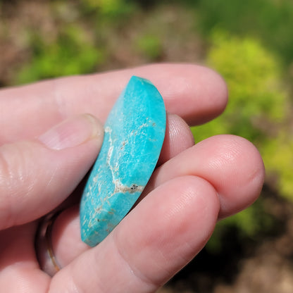 Sonoran Turquoise Cabochon
