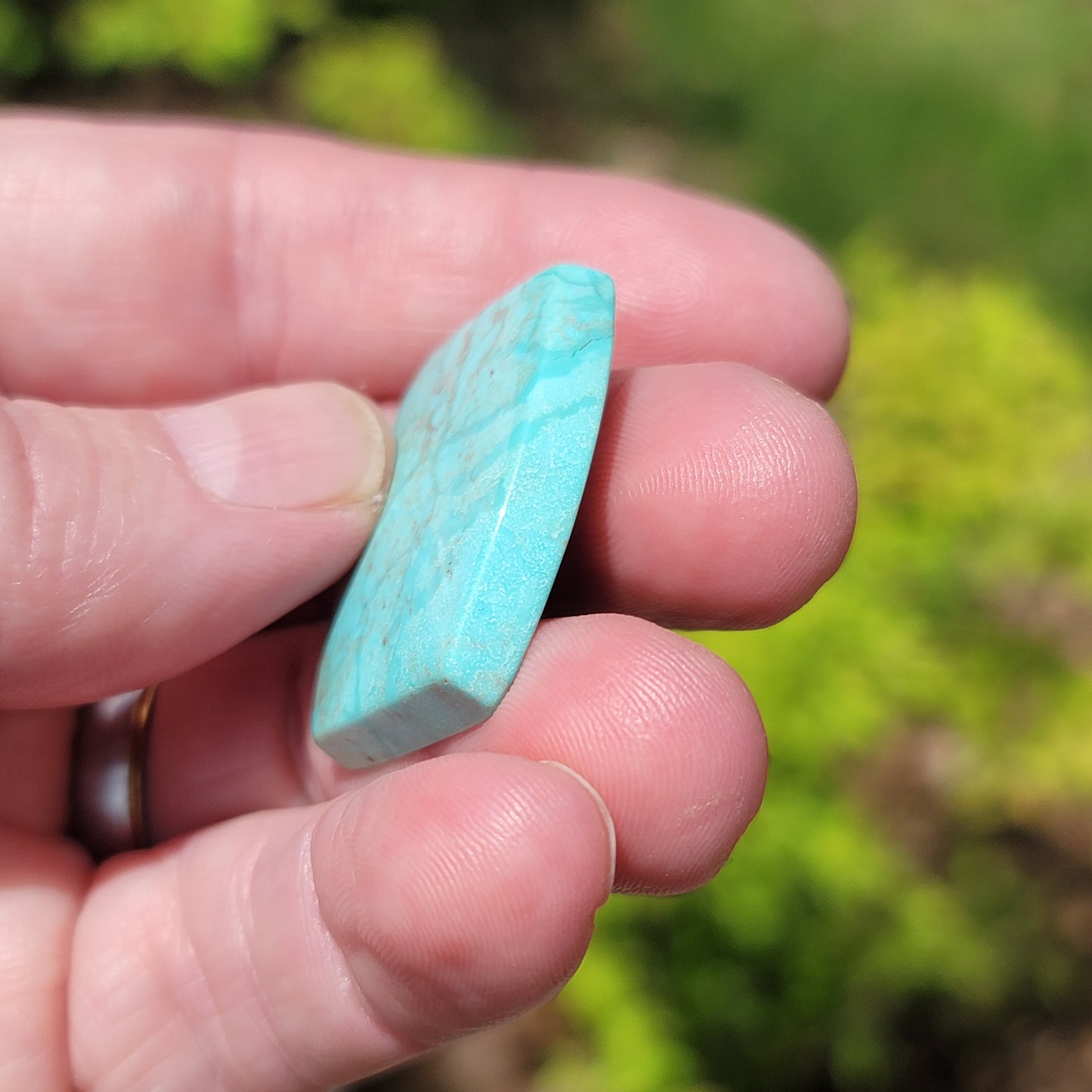 Sonoran Turquoise Cabochon