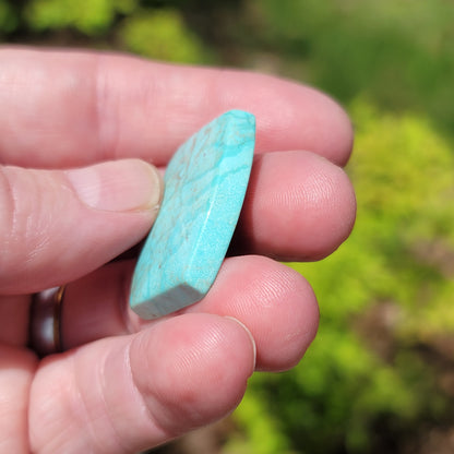 Sonoran Turquoise Cabochon
