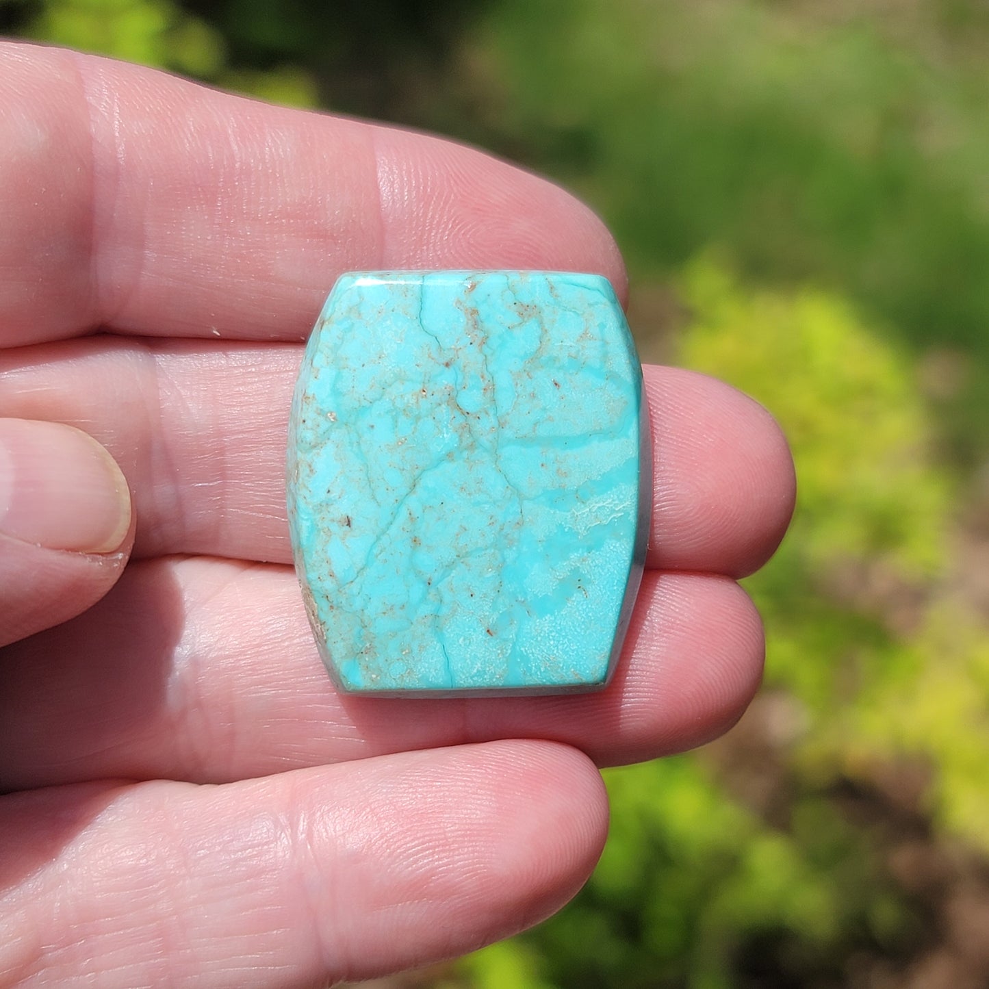Sonoran Turquoise Cabochon