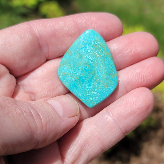 Sonoran Turquoise Cabochon