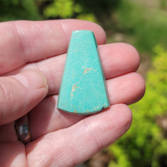 Sonoran Turquoise Cabochon