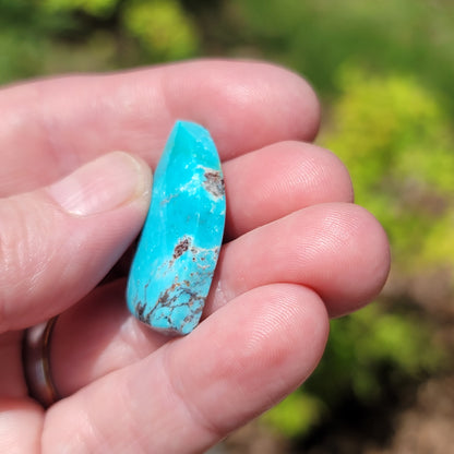 Redskin Turquoise Cabochon