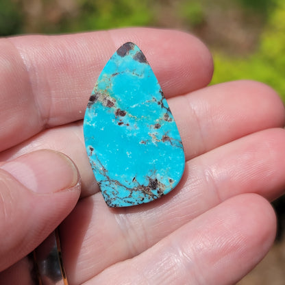 Redskin Turquoise Cabochon