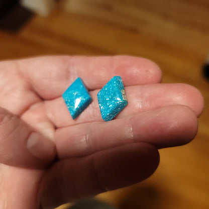 Sonoran Turquoise Cabochon Earring Pair