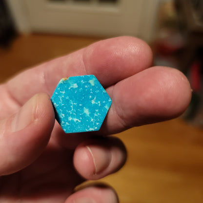 Sonoran Turquoise Cabochon