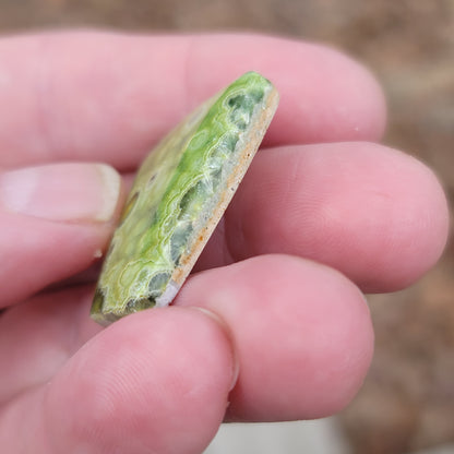Arkansas Wavellite Cabochon